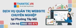 Dịch Vụ Quản Trị Website Tại Phường Tây Mỗ Chuyên Nghiệp Giúp Doanh Nghiệp Phát Triển Bền Vững 1 dich-vu-quan-tri-website-tai-phuong-tay-mo.jpg