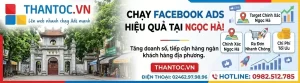 Facebook Ads Tại Phường Ngọc Hà 7 Facebook Ads Tại Phường Ngọc Hà